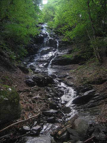 Stream
