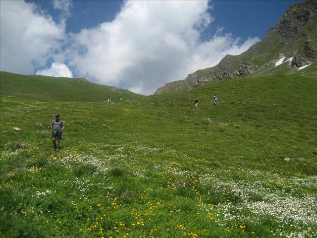 Lush grass pastures, at last.